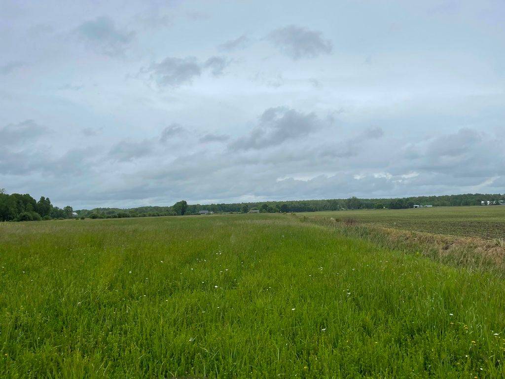 Severn, ON L0K 1E0,1744 BALKWILL Line