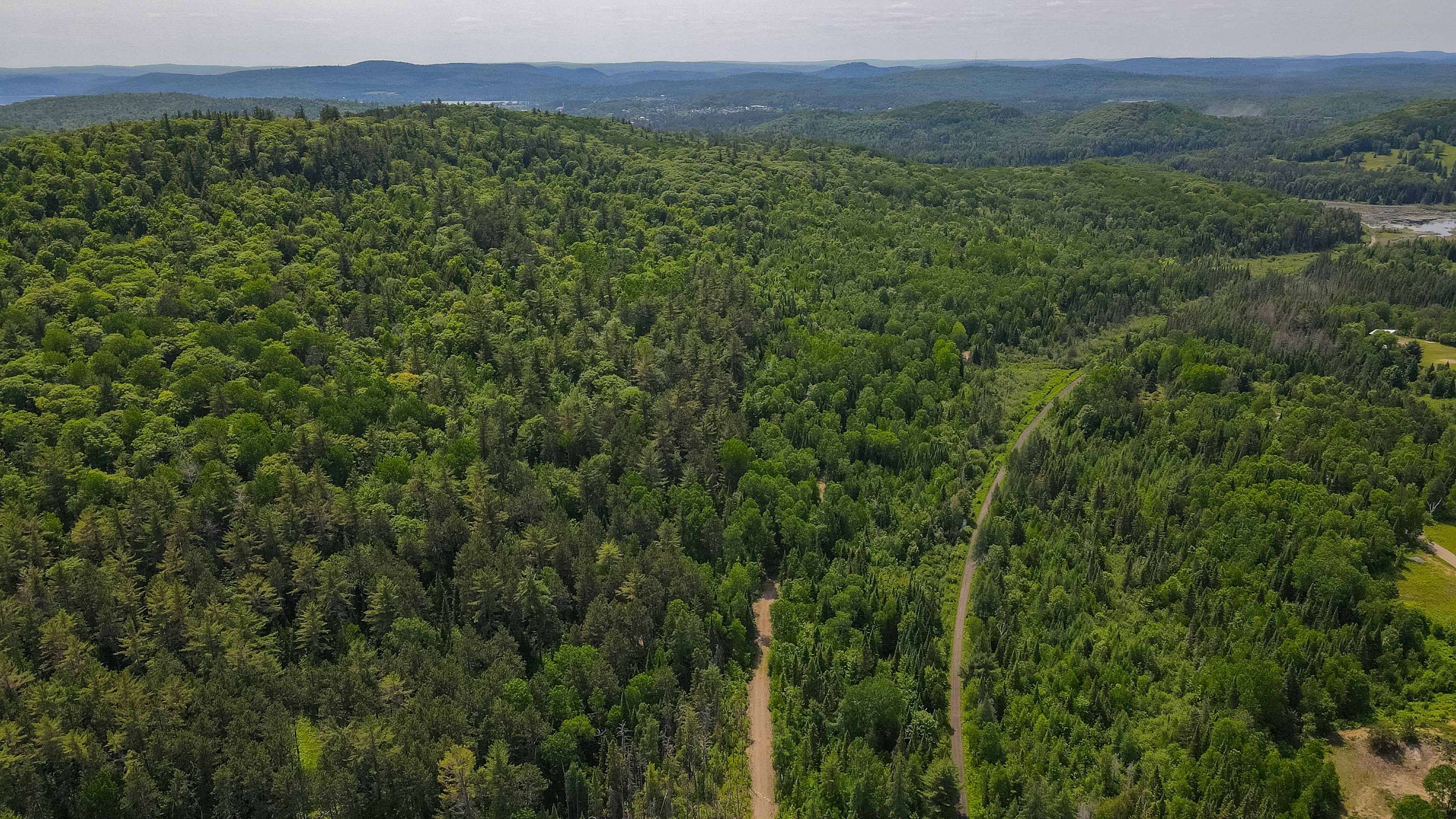 Madawaska Valley, ON K0J 1B0,00 Airport RD