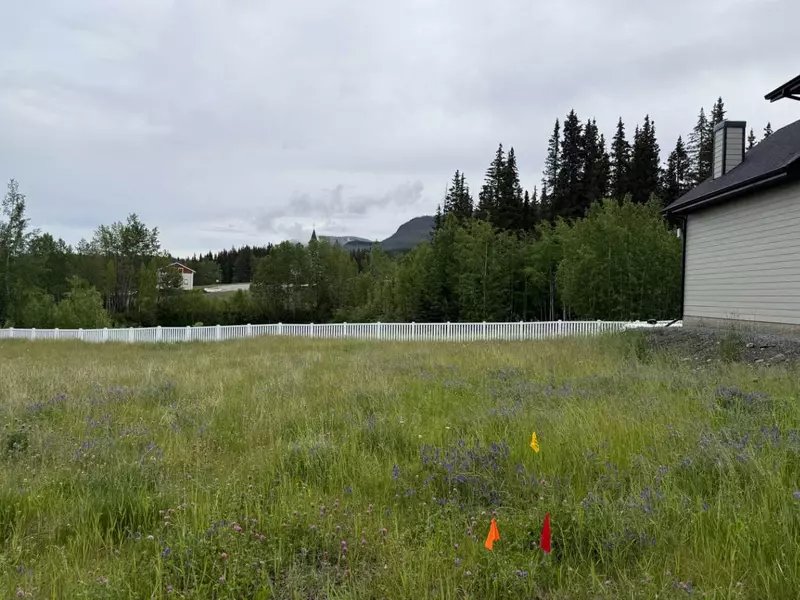 347 Elizabeth AVE, Nordegg, AB T0M 2H0
