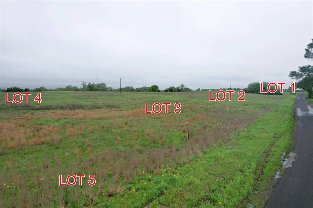 Winnsboro, TX 75494,Lot 1 County Road 4286/4287
