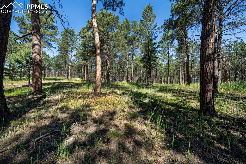 Colorado Springs, CO 80908,12290 Lazy H WAY