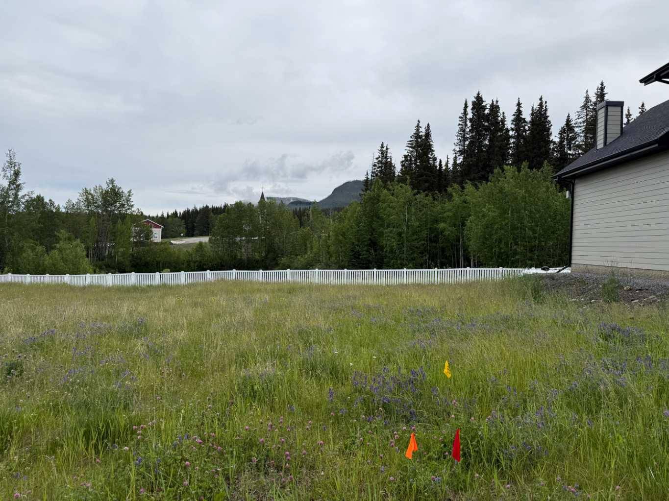 347 Elizabeth AVE, Nordegg, AB T0M 2H0