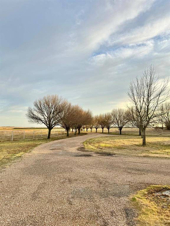 Pilot Point, TX 76258,2300 Berend Road