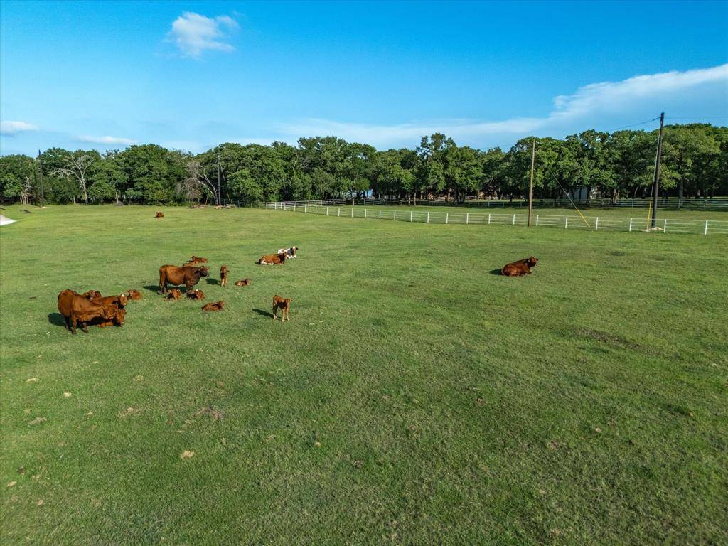 Azle, TX 76020,12580 Briar Road