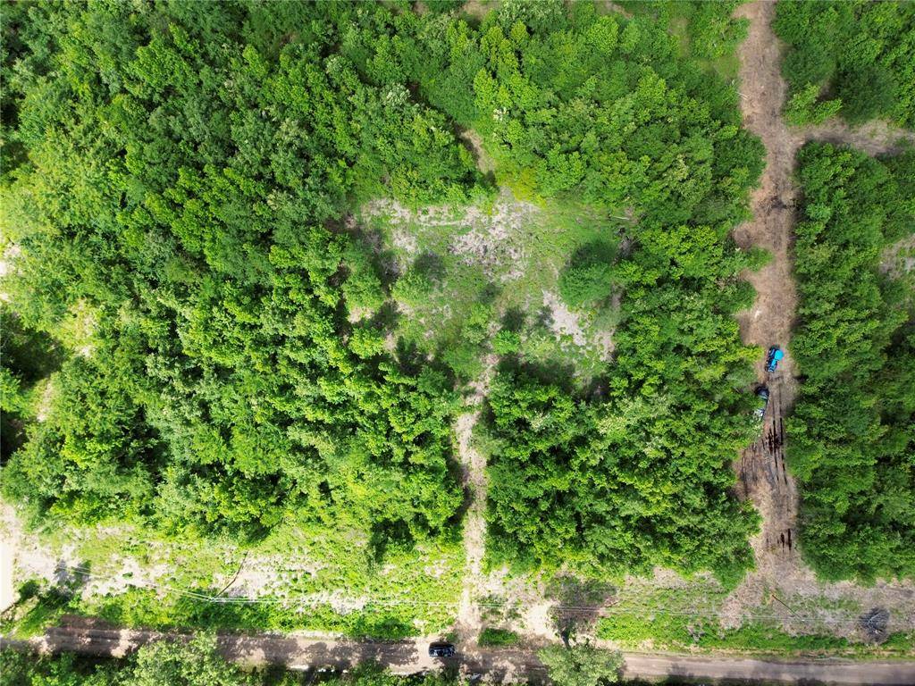 Gilmer, TX 75644,9443 Mistletoe Road #Lot 9
