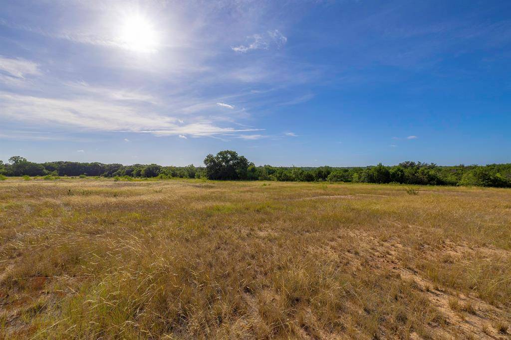 Hico, TX 76457,TBD County Road 239