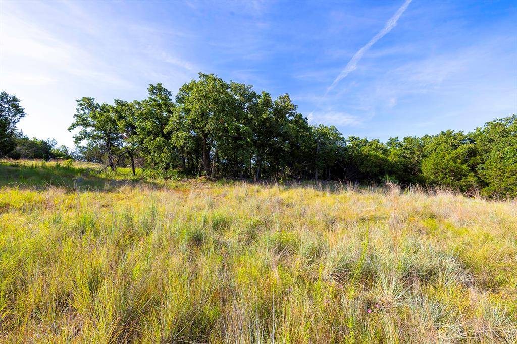 Hico, TX 76457,TBD County Road 239