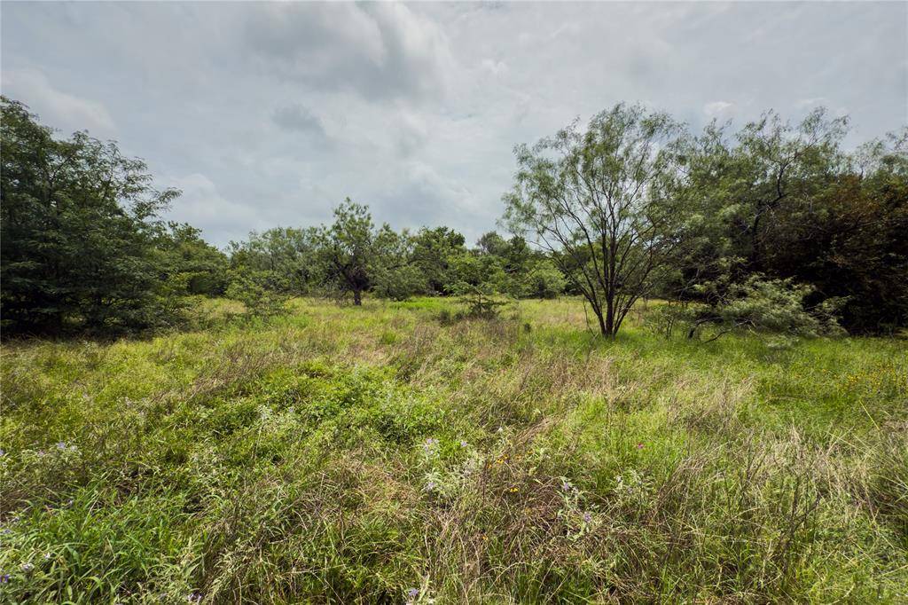 Marlin, TX 76661,Lot 1 County Road 173