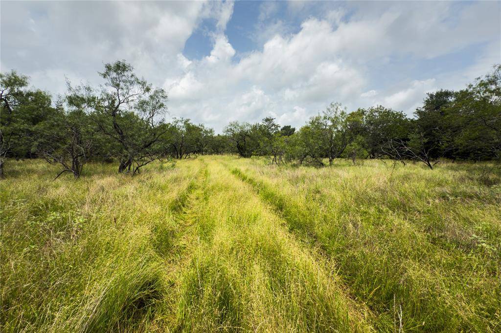 Marlin, TX 76661,Lot 8 County Road 173