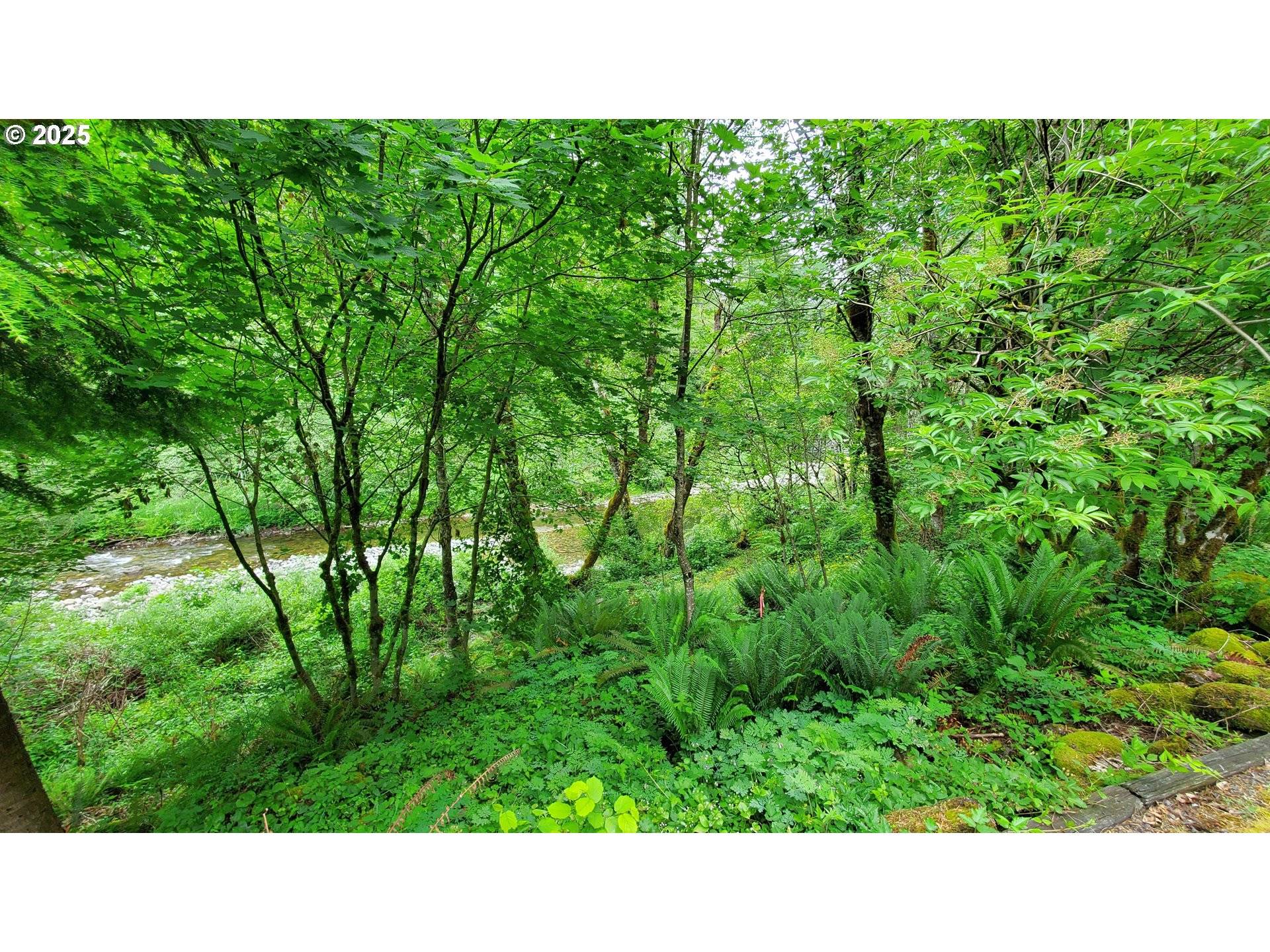 Washougal, WA 98671,Address not disclosed