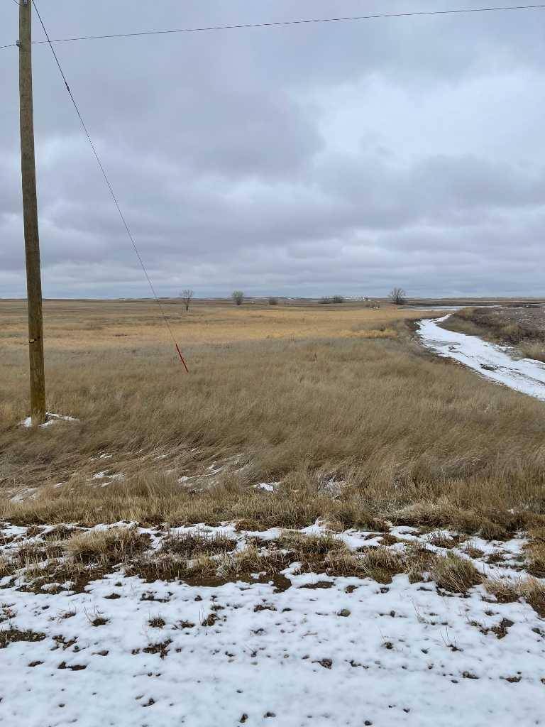 Rural Cypress County, AB T0J 1R0,174 Township