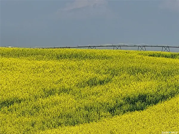 Rural Address, Battle River Rm No. 438, SK S0M 0E0