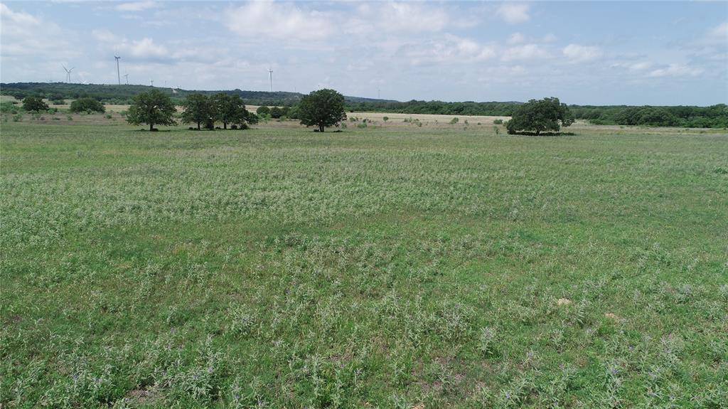 Mingus, TX 76463,TBD Tract 2 County Road 109