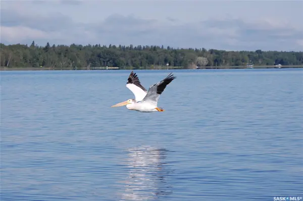 6 Pelly STREET, Big River Rm No. 555, SK S0J 0E0