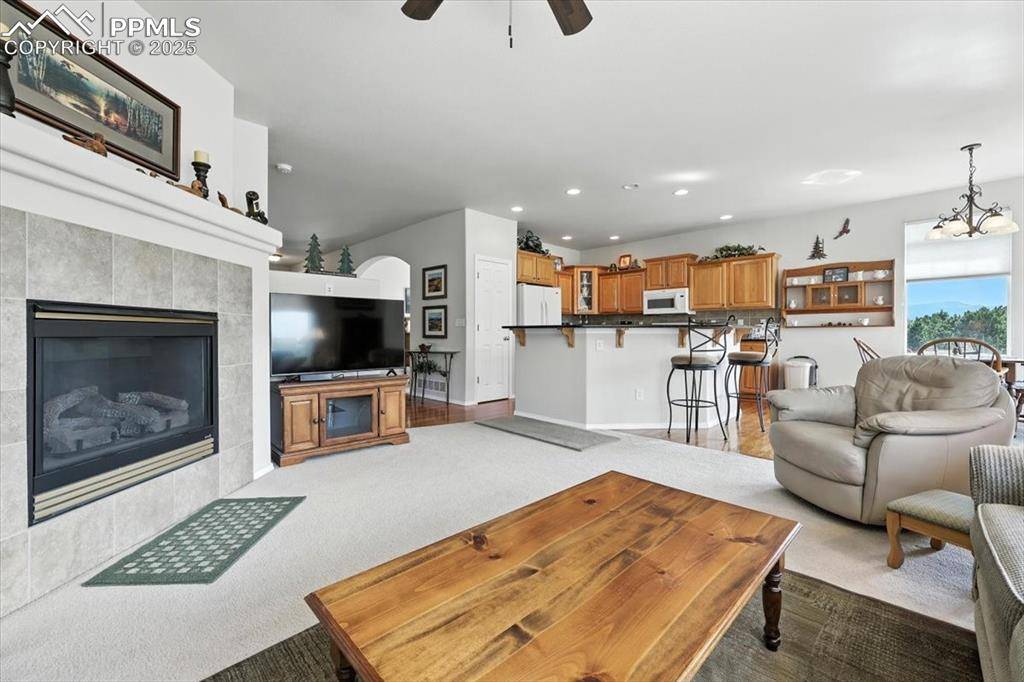 Colorado Springs, CO 80920,10091 Red Sage DR