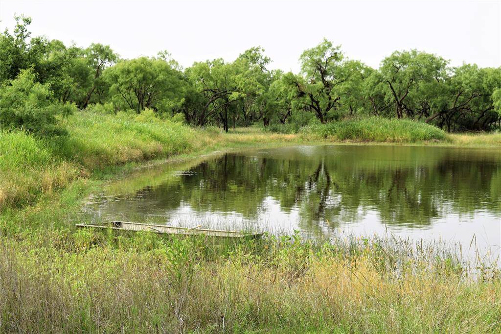 351 County Road 126, Coleman, TX 76834