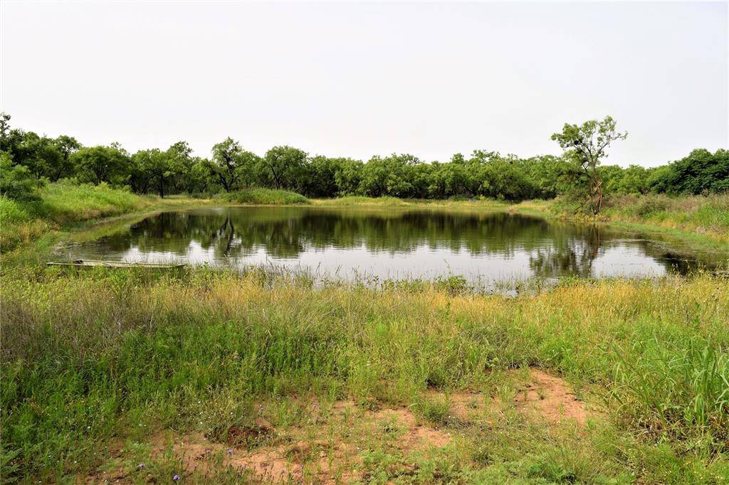 Coleman, TX 76834,351 County Road 126