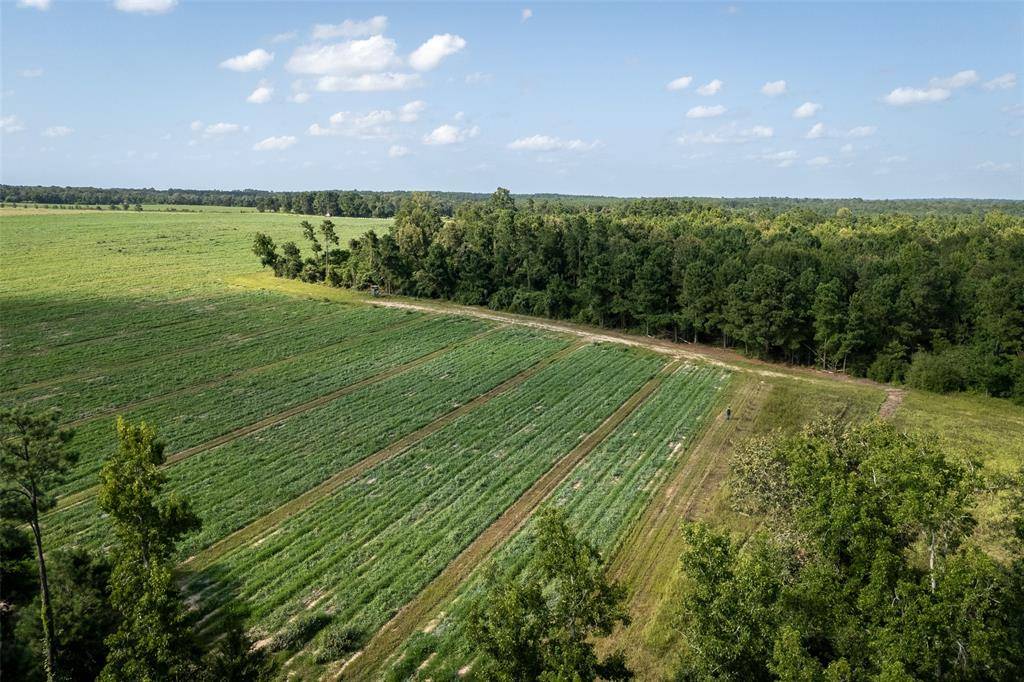 Grapeland, TX 75844,00 County Road 2180