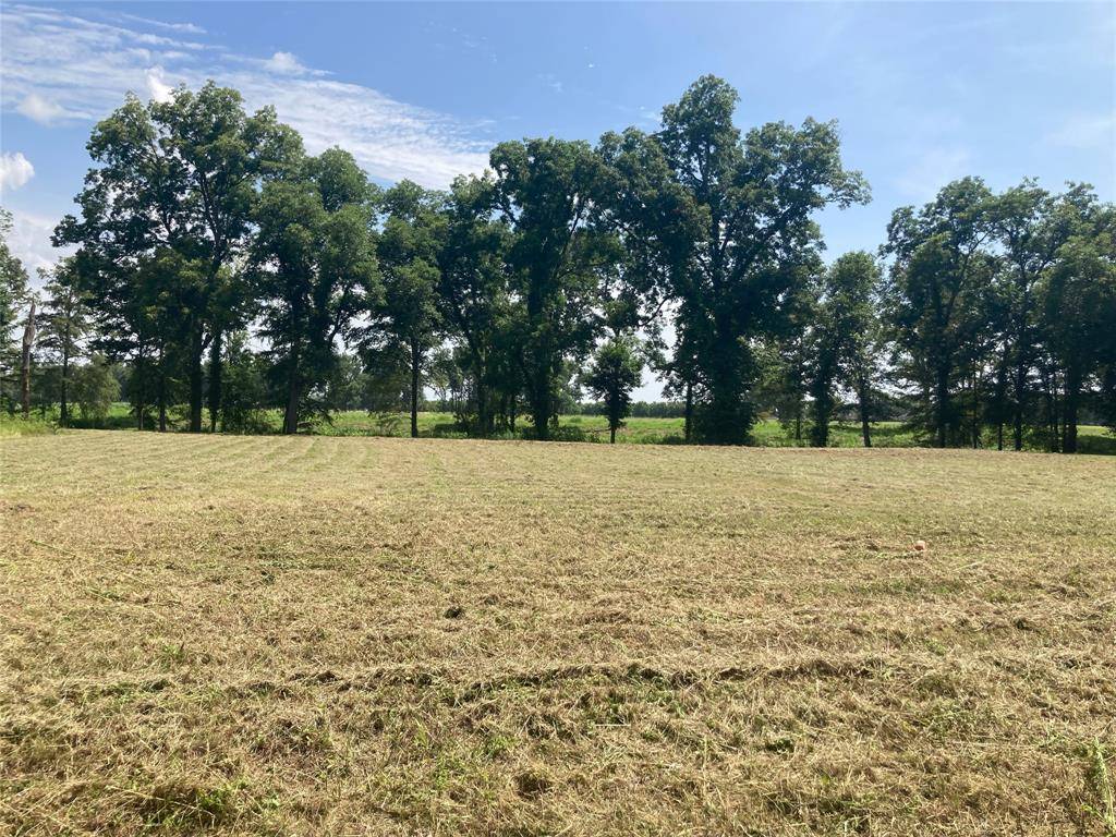 401 Omaha Circle, Bossier City, LA 71111