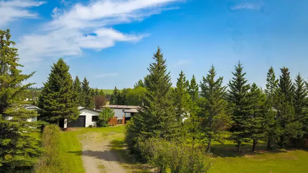 Rural Mountain View County, AB T0M1X0,33009 Range Road 55 #48
