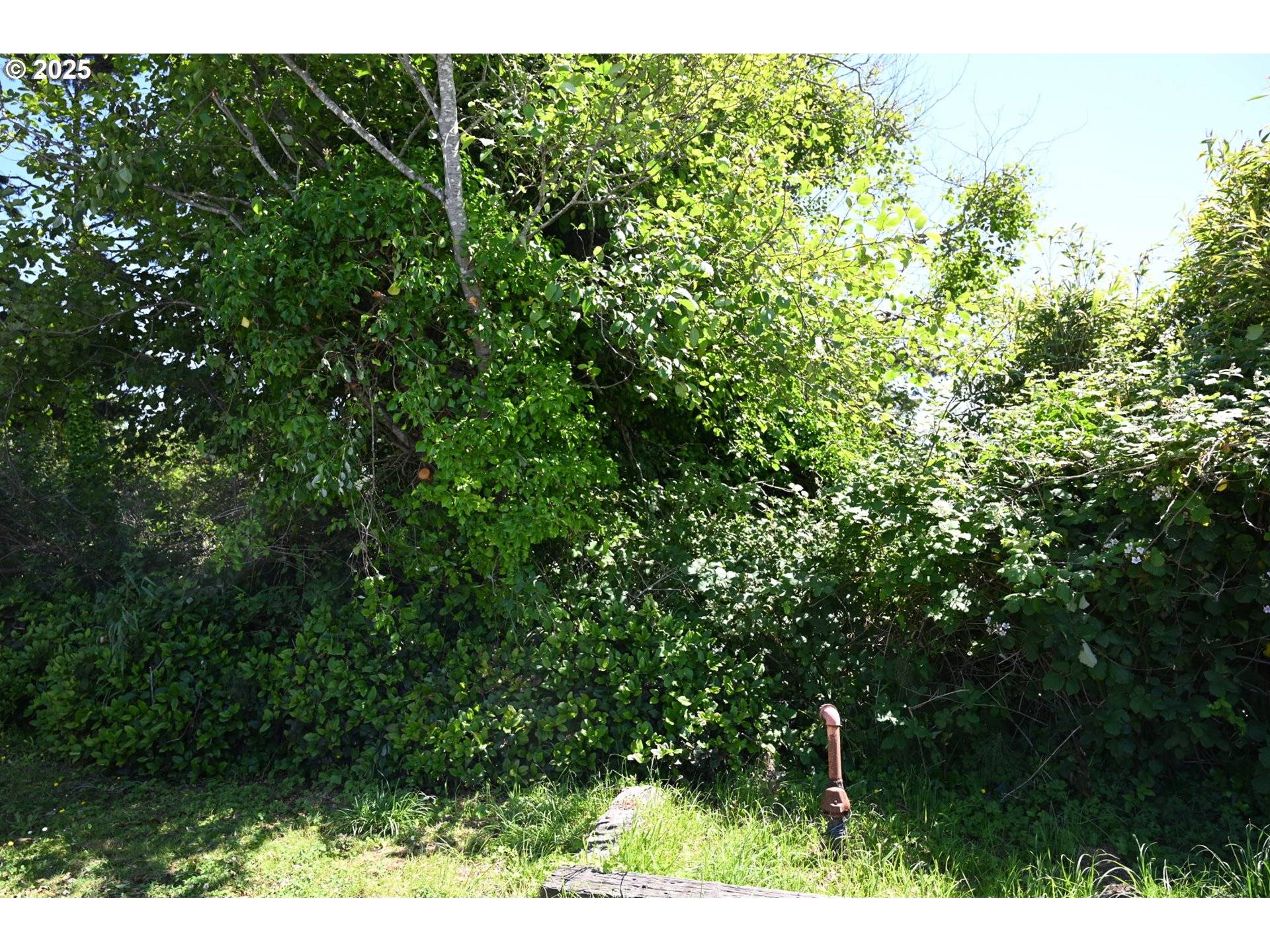 Rockaway Beach, OR 97136,SeaView B18-OR Coast HWY #32-35