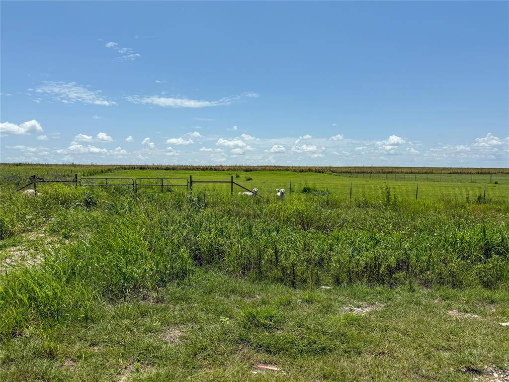 Grandview, TX 76050,5848 County Road 302