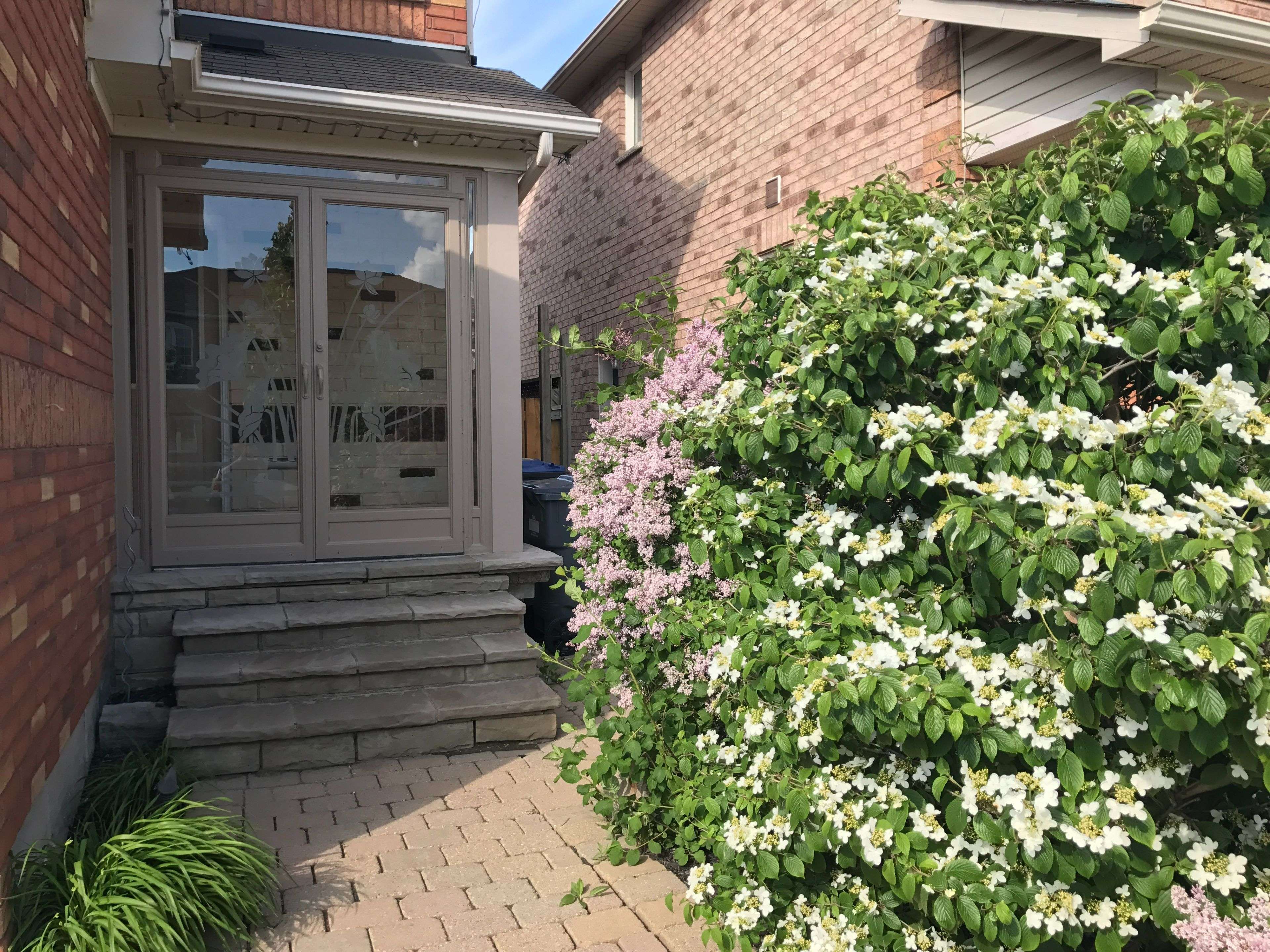 Mississauga, ON L5M 6P4,5853 Swordsman DR
