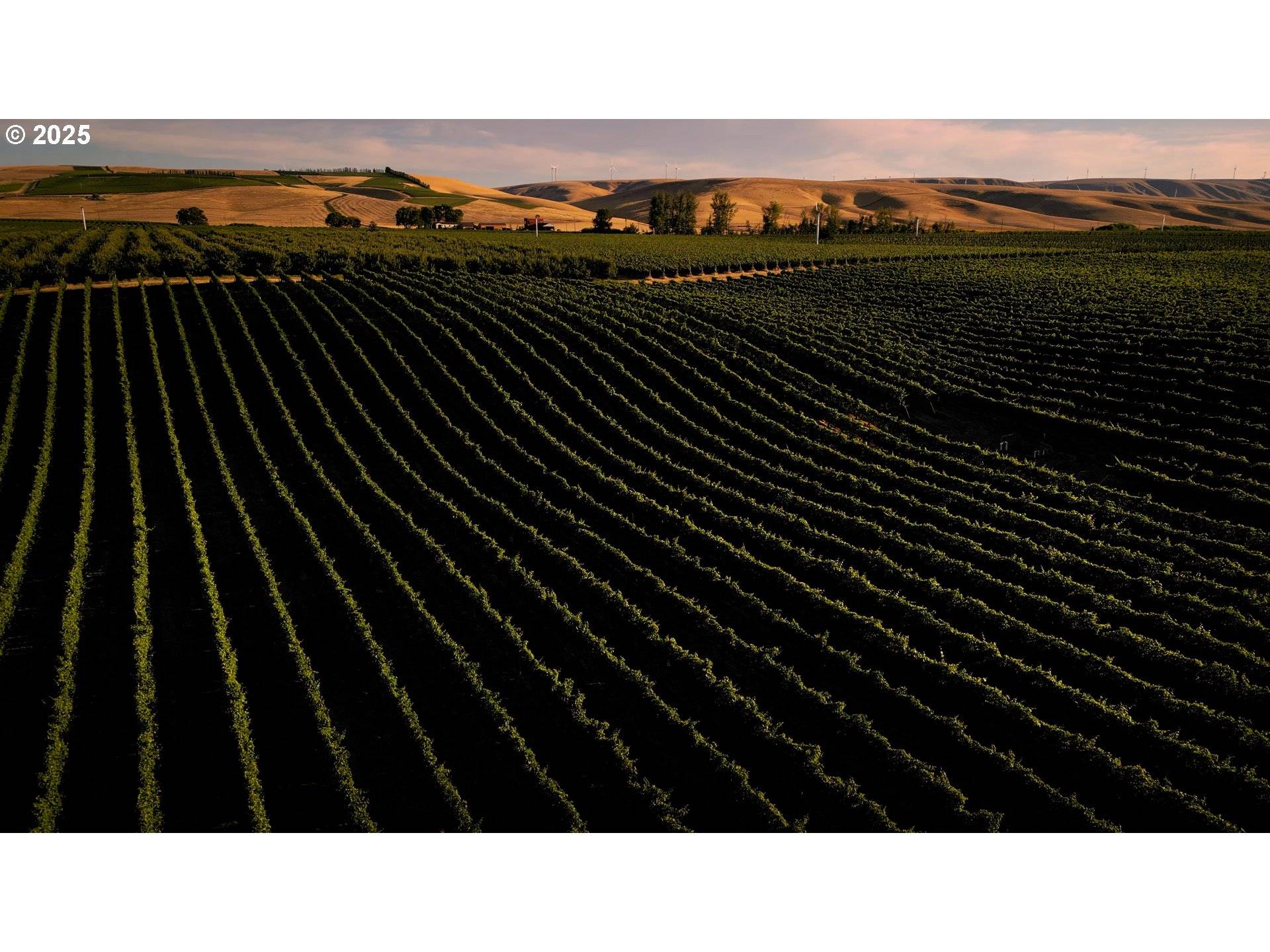 Milton Freewater, OR 97862,83996 EDWARDS RD