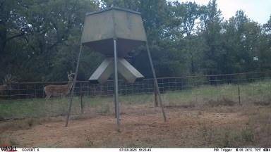 Jacksboro, TX 76458,TBD US 380 Highway