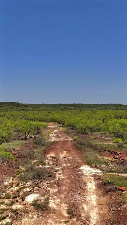 Jacksboro, TX 76458,163 Campbell Lane