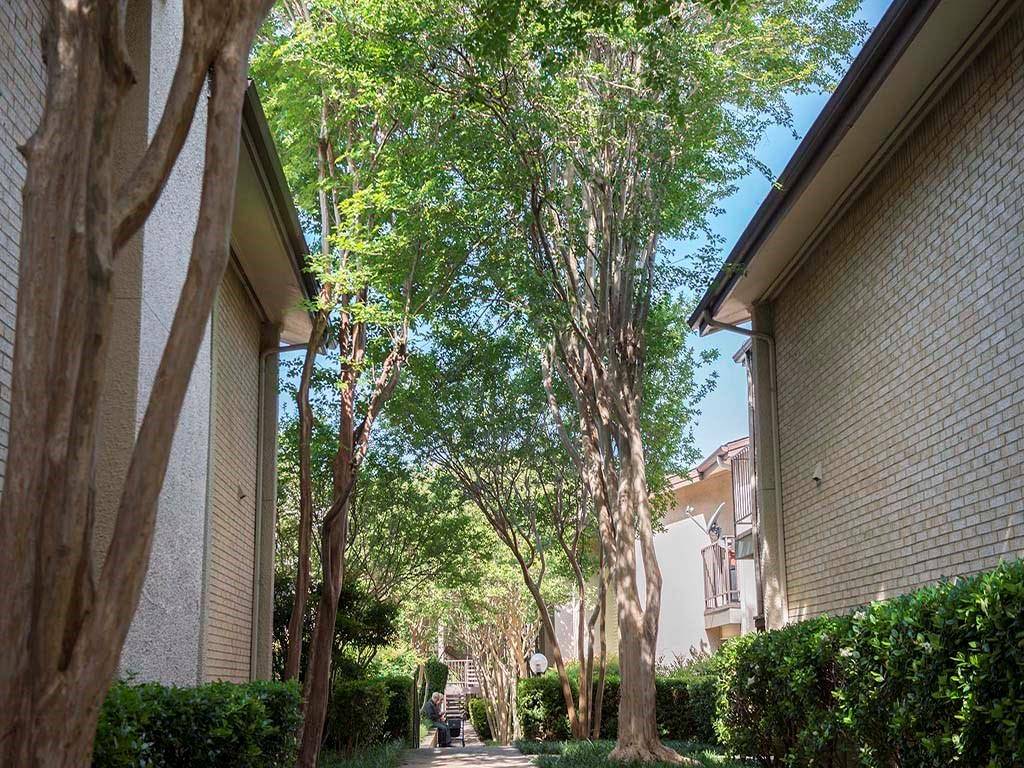 12830 Midway Road #1120, Dallas, TX 75244