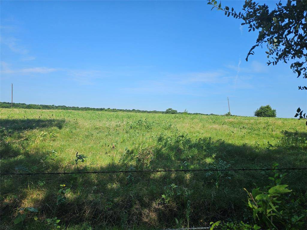 Leonard, TX 75542,TBD CR 4841