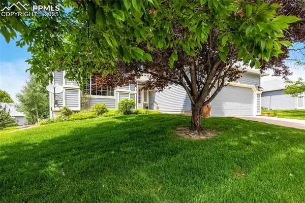 Colorado Springs, CO 80922,6759 Showhorse CT