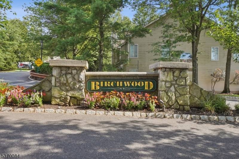 Bedminster Twp., NJ 07921,13 Birchwood Road