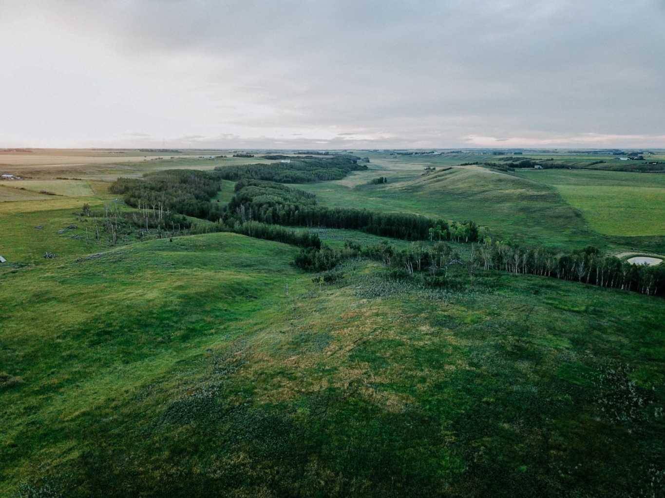 Rural Mountain View County, AB T0M 0N0,30480 Range Road 12 #16