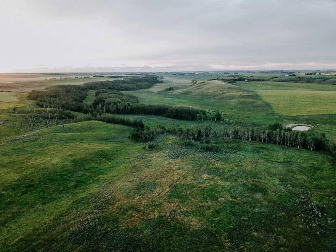 30480 Range Road 12 #16, Rural Mountain View County, AB T0M 0N0