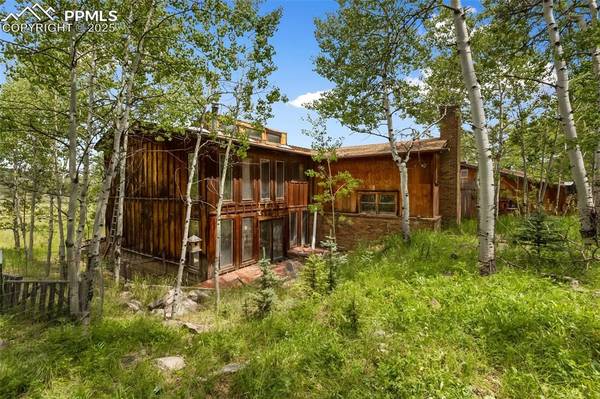 238 Forest LN, Florissant, CO 80816