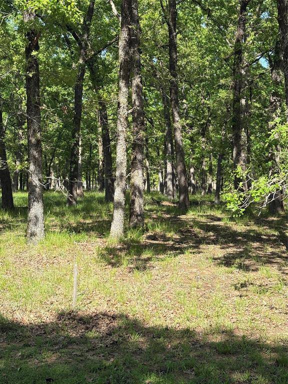 Mabank, TX 75156,128 Colonial