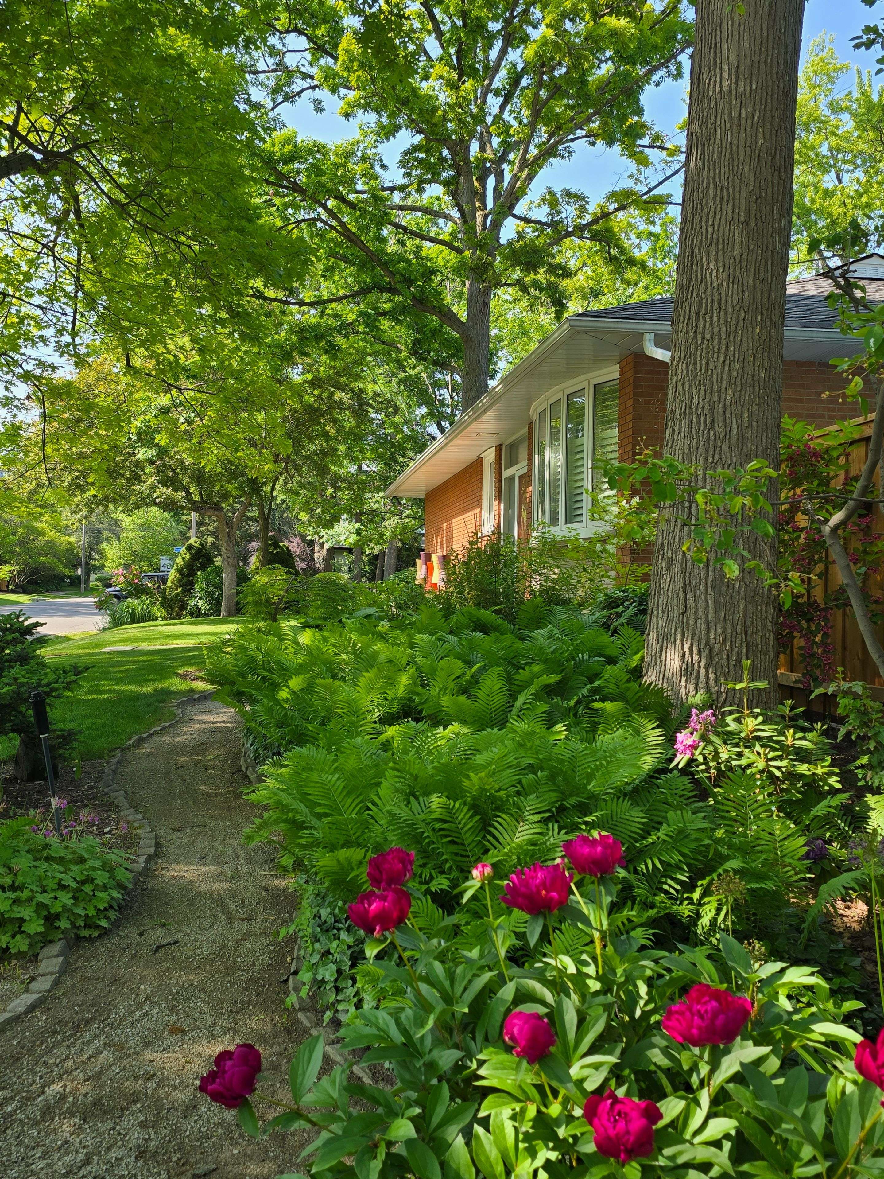 Toronto W08, ON M9B 5X1,25 Ashford DR