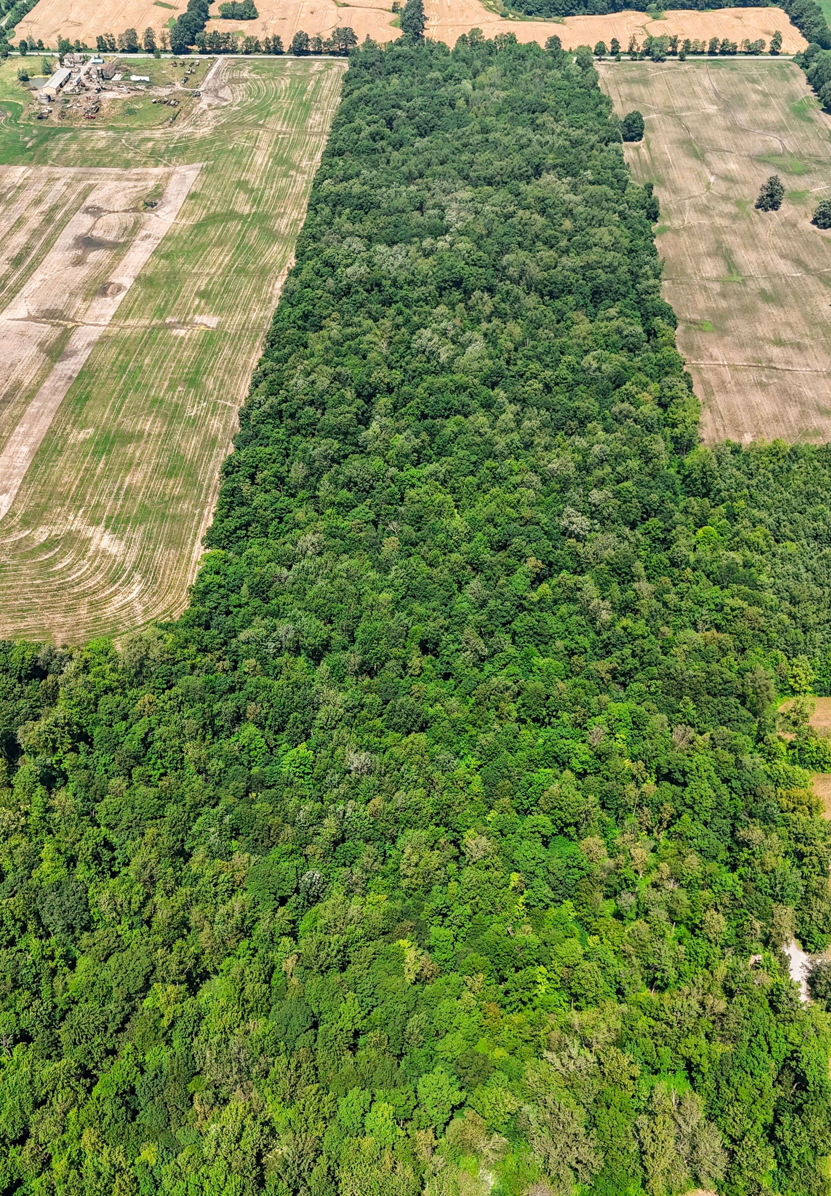 73325 HENDERSON RD, Wainfleet, ON L0R 2J0