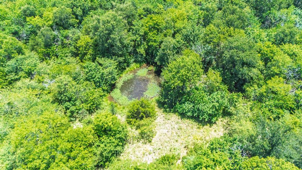 Lone Oak, TX 75453,32 Acs Fm 2649