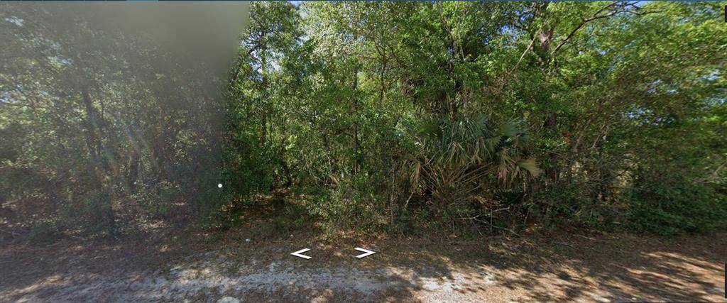 1224 NE 1st St, Crystal River, FL 34429