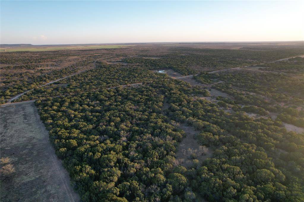 TBD County Rd 207, Ovalo, TX 79541