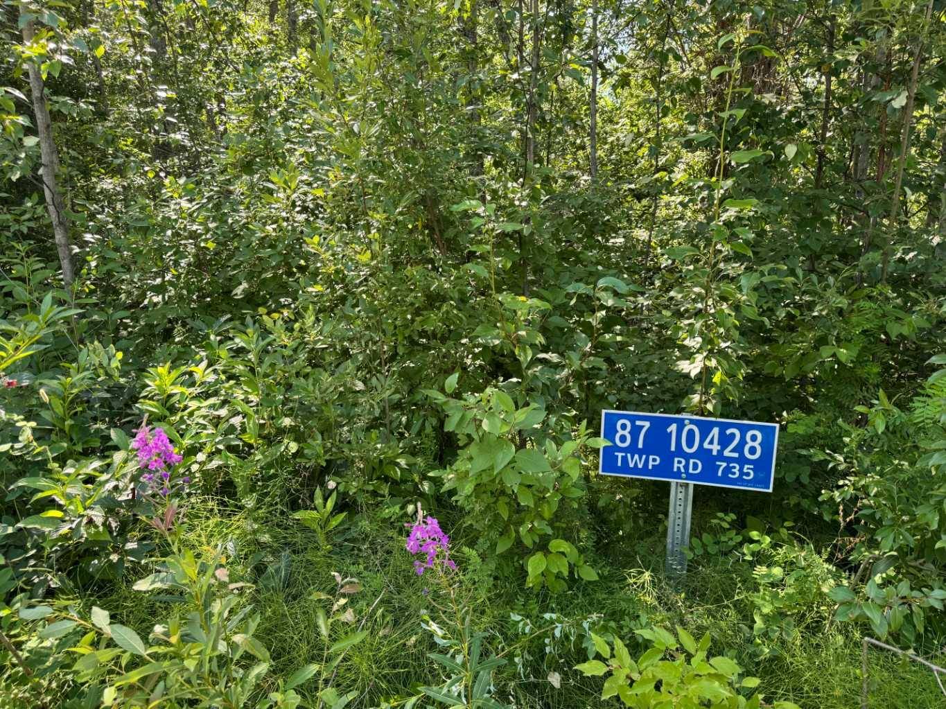10428 TOWNSHIP RD 735 RD #87, Kinuso, AB T0G1K0