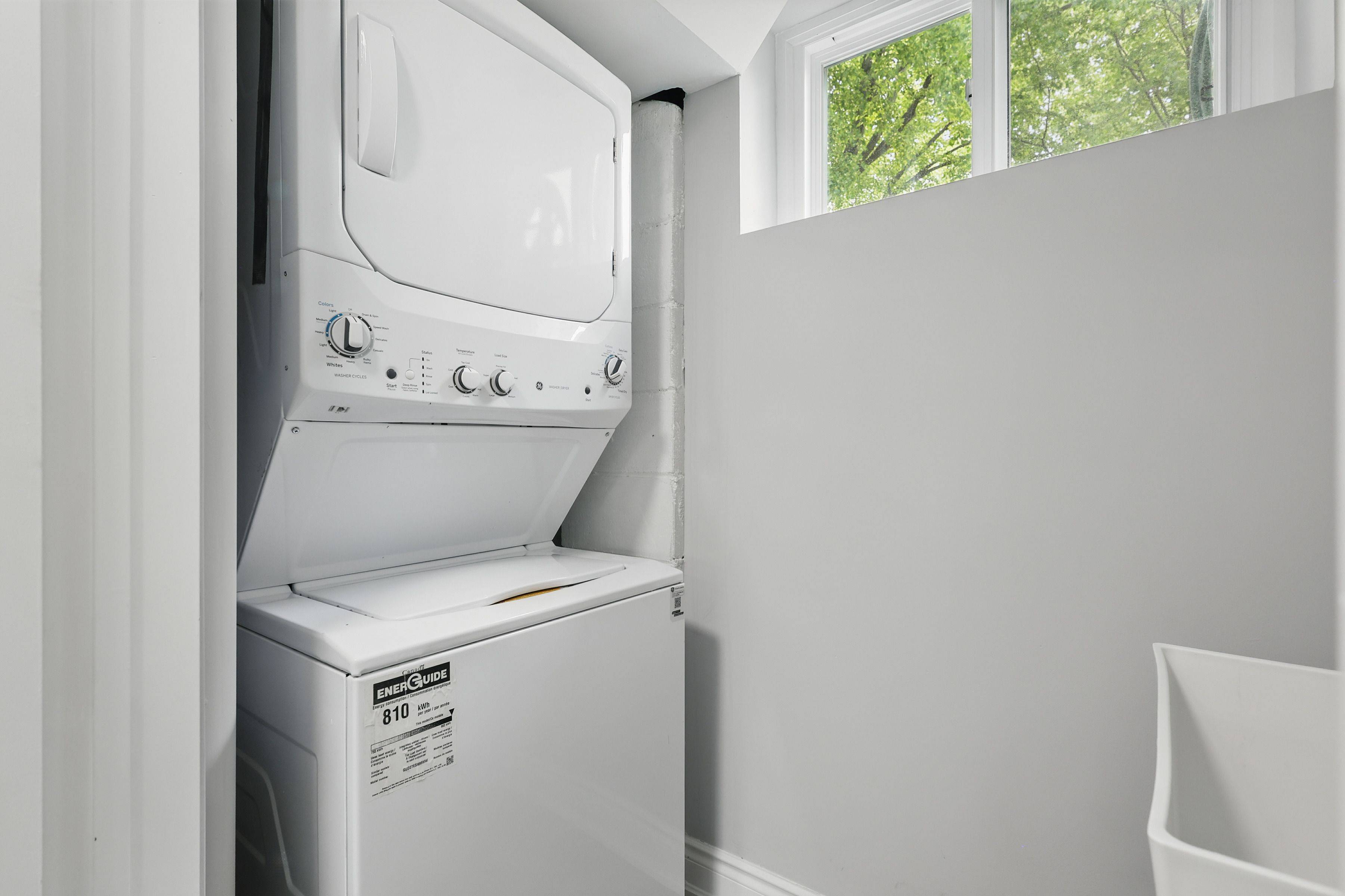 Toronto C13, ON M3A 1W9,1 Vanity CT #Lower