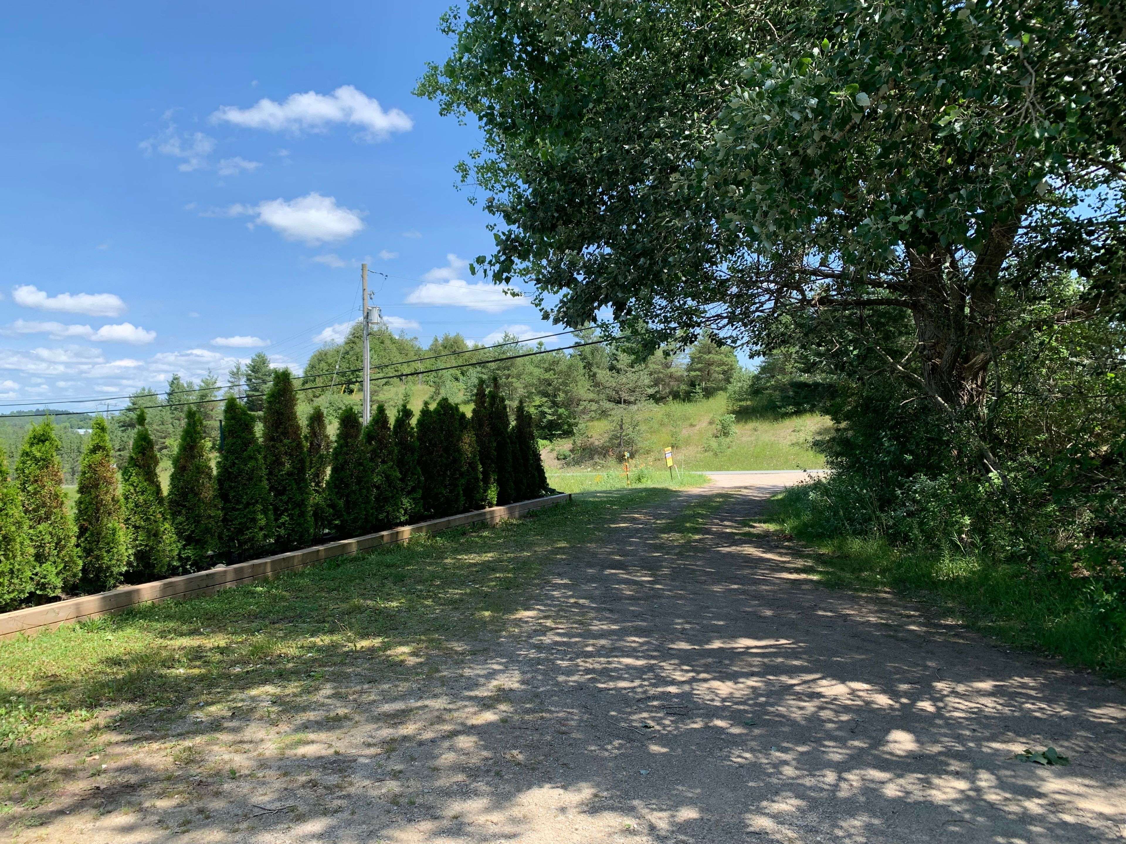 West Grey, ON N0G 1R0,313338 Hwy 6 N/A