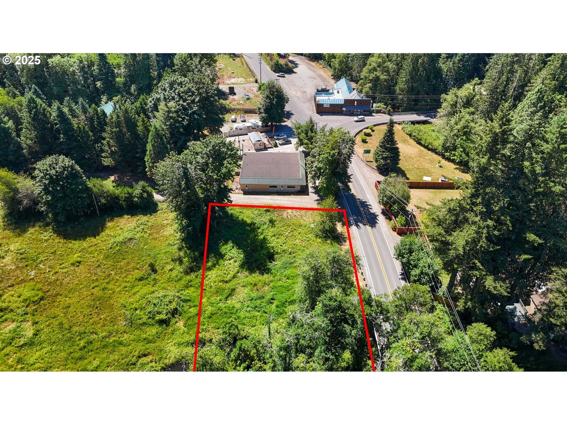 Amboy, WA 98601,000 NE 221ST AVE