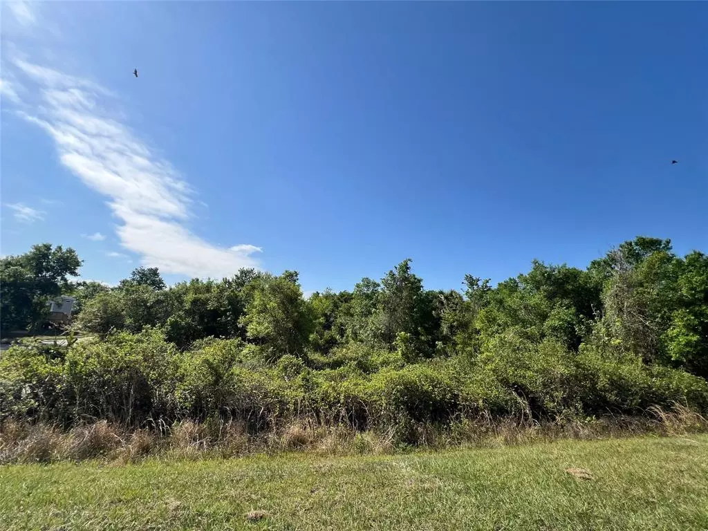 Okeechobee, FL 34972,16226 NW 254th St