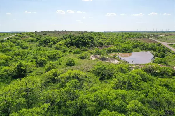Jacksboro, TX 76365,48 Acres Bowen Loop