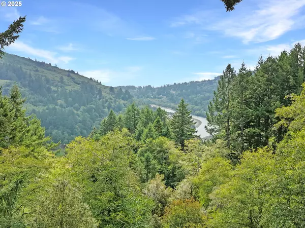 Brookings, OR 97415,17225 MOUNTAIN DR